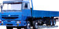 Cor vermelha do caminhão 8X4 da carga de ZZ1316M4669V SINOTRUK STEYR e azul verde resistente